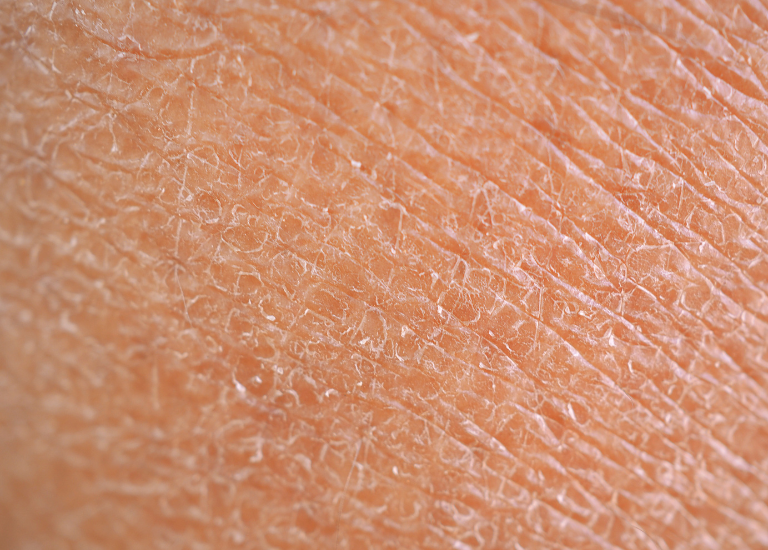 STAYVE - SÉRUM AQUA STEM CELL